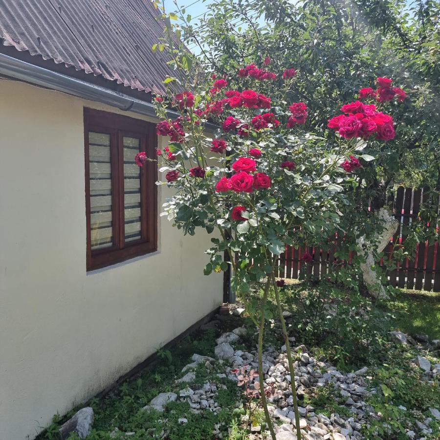 Vila Paula & Spa Совата Экстерьер фото