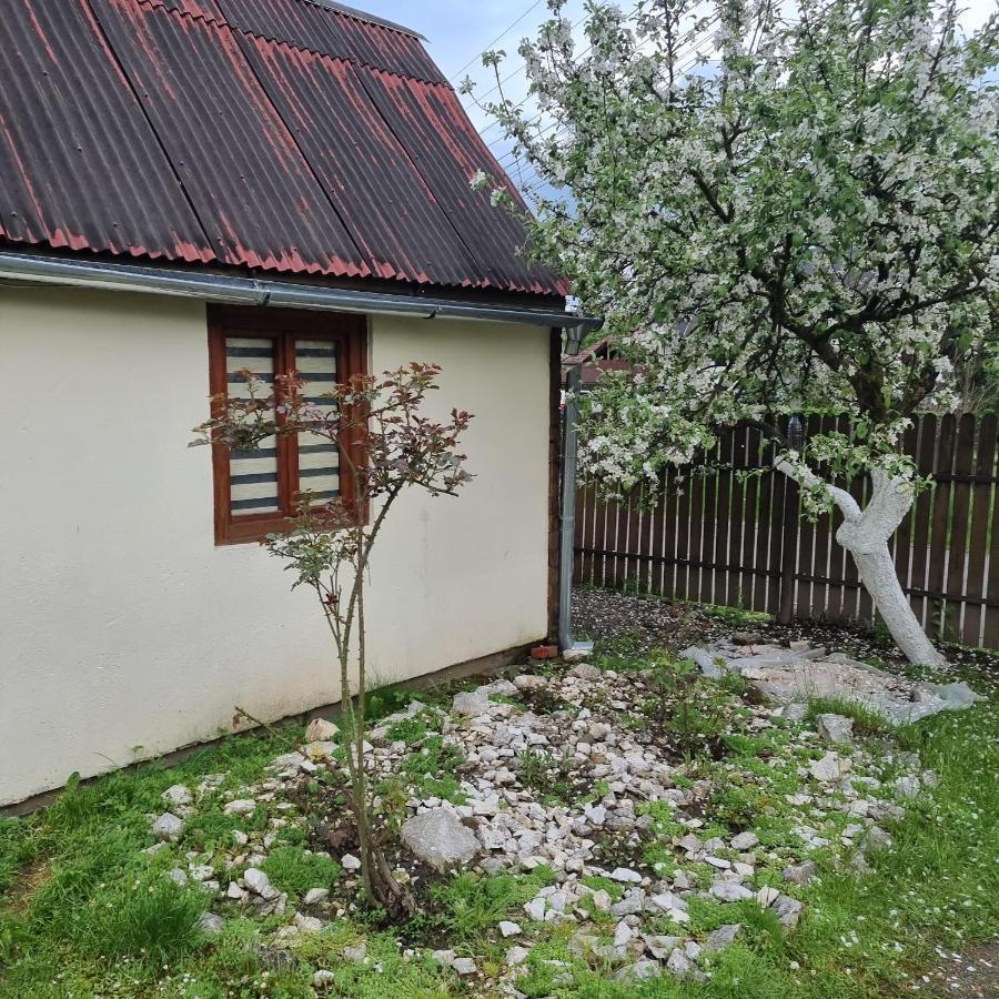 Vila Paula & Spa Совата Экстерьер фото